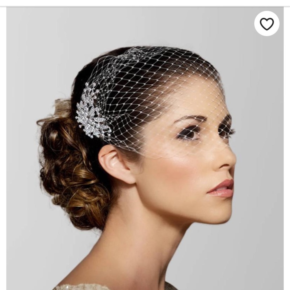 NEW Birdcage Veil (White)